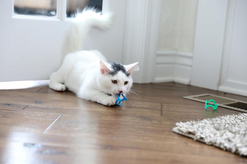 Petmate Doskocil Cat Crazies Toy Set - Multi-Color Pack of 4 for Cats - Image 5
